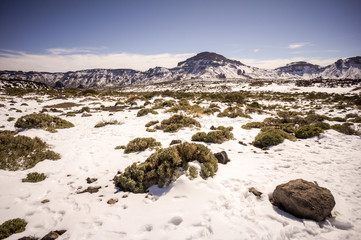 Snow covered mount teide