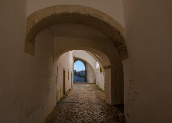 Shadowed Walkway with Cobblestones, Sintra, Portugal