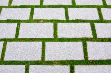 texture of square concrete brick pathway on a green grass in the garden