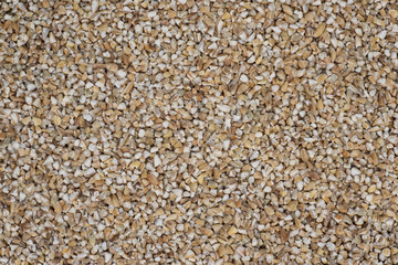 barley groats background texture