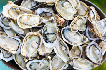 Opened Fresh Oysters on ice bucket