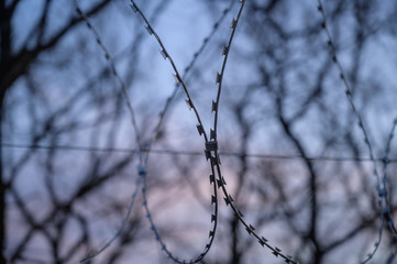 Fototapeta na wymiar Barbed wire on fence with sky. Selective focus.