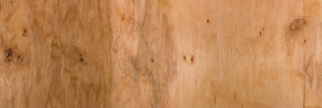Texture of wood background close up. Empty template.