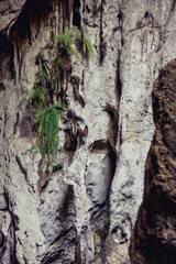 Samroiyod National Park, Prachuap Khiri Khan, Thailand