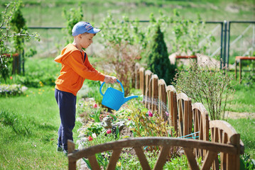 Cute European boy is watering tulipes in the countryside garden. He likes to help his mother in the garden. © Artem