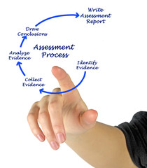 Components of Assessment Process.