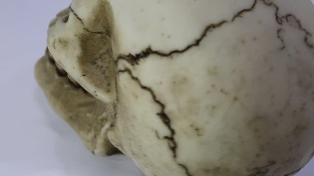 terrifying human skull that turns with diamonds