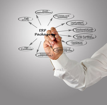 ERP Functions.