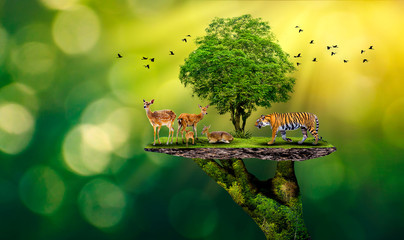 Concept Réserve naturelle conserver Réserve faunique tigre Cerf Réchauffement climatique Nourriture Pain Écologie Mains humaines protégeant les animaux sauvages et sauvages tigres cerfs, arbres dans les mains fond vert Lumière du soleil