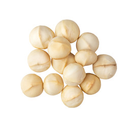 Peeled Macadamia nut on a white background. top view