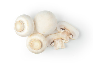 Mushroom champignon isolated on white background.top view