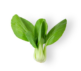Bok choy vegetable isolated on the white background. top view