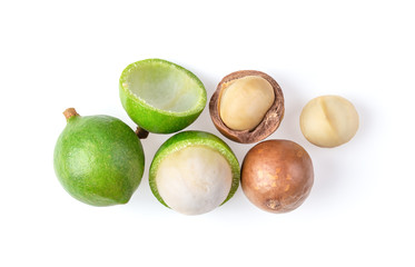 macadamia nut isolated on white background. top view