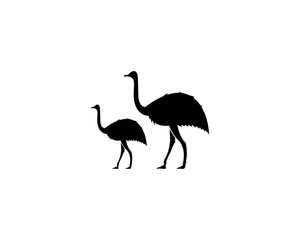 Obraz premium ostrich logo vector illustration template 