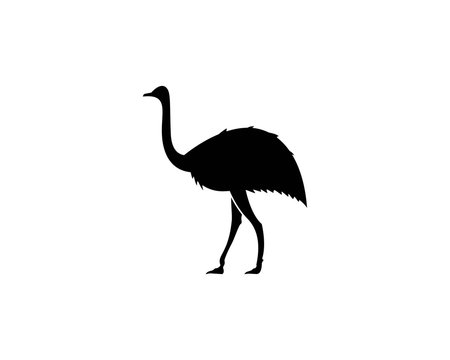 ostrich logo vector illustration template
