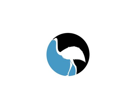 ostrich logo vector illustration template
