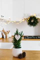 Small Christmas tree in white flower pot white modern kitchen scandinavian style decorated for Christmas background.