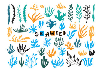 Seaweed2