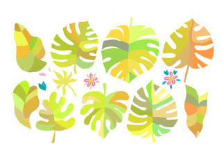 Fototapeta premium Set of tropical flowers3