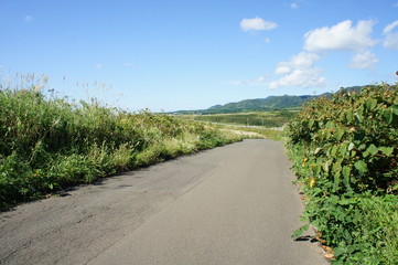 清部から江良方面へ