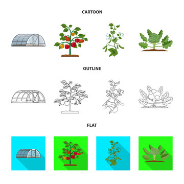 Vector design of greenhouse and plant icon. Set of greenhouse and garden vector icon for stock.