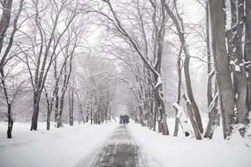 Snow-covered winter park and benches. Park and pier for feeding ducks and pigeons. The first snow covered the autumn park.