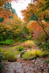 Botanical garden in Seattle/Bellevue