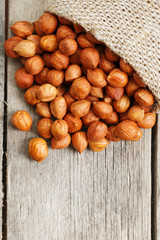 Chiselled hazelnuts in a bag of burlap on a gray wooden table. Organic Fresh Harvested
