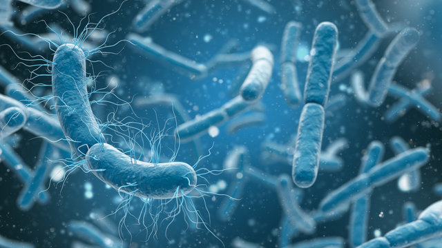 3D rendering bacteria closeup in blue background.