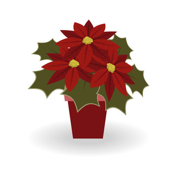 Christmas Red poinsettia in a pot on a white background. Vector illustration