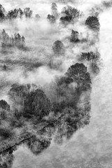 Paesaggio in bianco e nero sulla foresta con nebbia, Italia