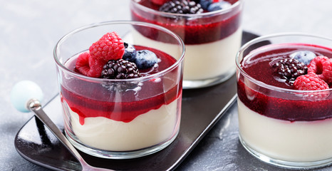 Delicious italian dessert panna cotta with berry sauce, fresh berries and mint on gray background. - Image - obrazy, fototapety, plakaty