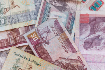Background of different egyptian pounds banknotes. Egyptian currency