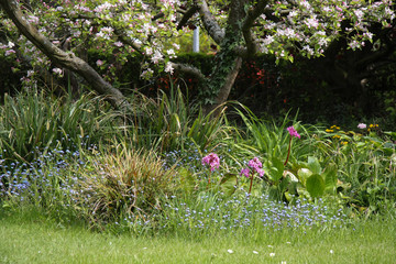 Fr&uuml;hling im Naturgarten