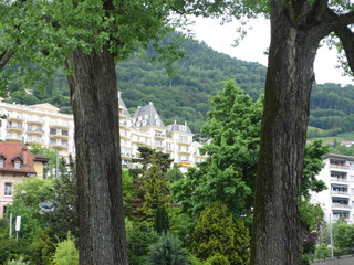 fotos de paisajes varios arboles naturaleza 