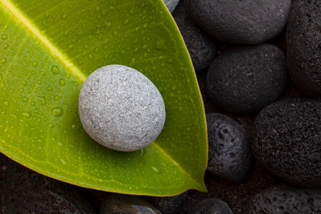 Obraz na płótnie Canvas round smooth pebble on a green leaf with drops of water, zen style nature still life