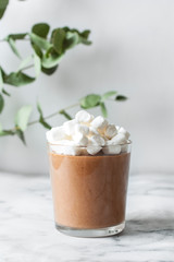 Homemade Dark Chocolate Mousse and melted chocolate