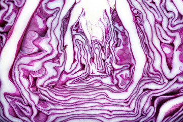 Obraz premium purple cabbage as background