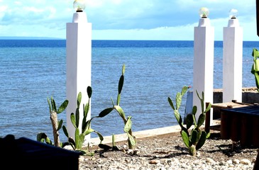 Cacti on the background of the sea and white lanterns