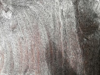 abstact wooden​ full​ Frame​ background.