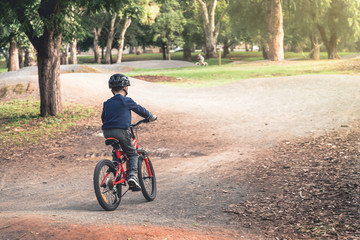 Naklejka premium Boy riding his bicycle