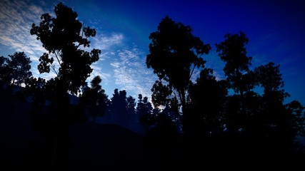 Fototapeta premium Forest in the mountains at dusk 3d rendering