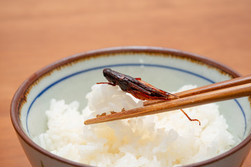 ご飯とイナゴの佃煮