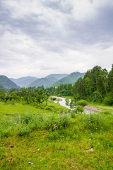 Fototapeta na wymiar Traumhafte Landschaft mit grünen Pflanzen und Bergen in Altei, Russland