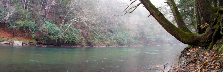 Riverside, Panoramic Photo Mossy Trees Clean Water