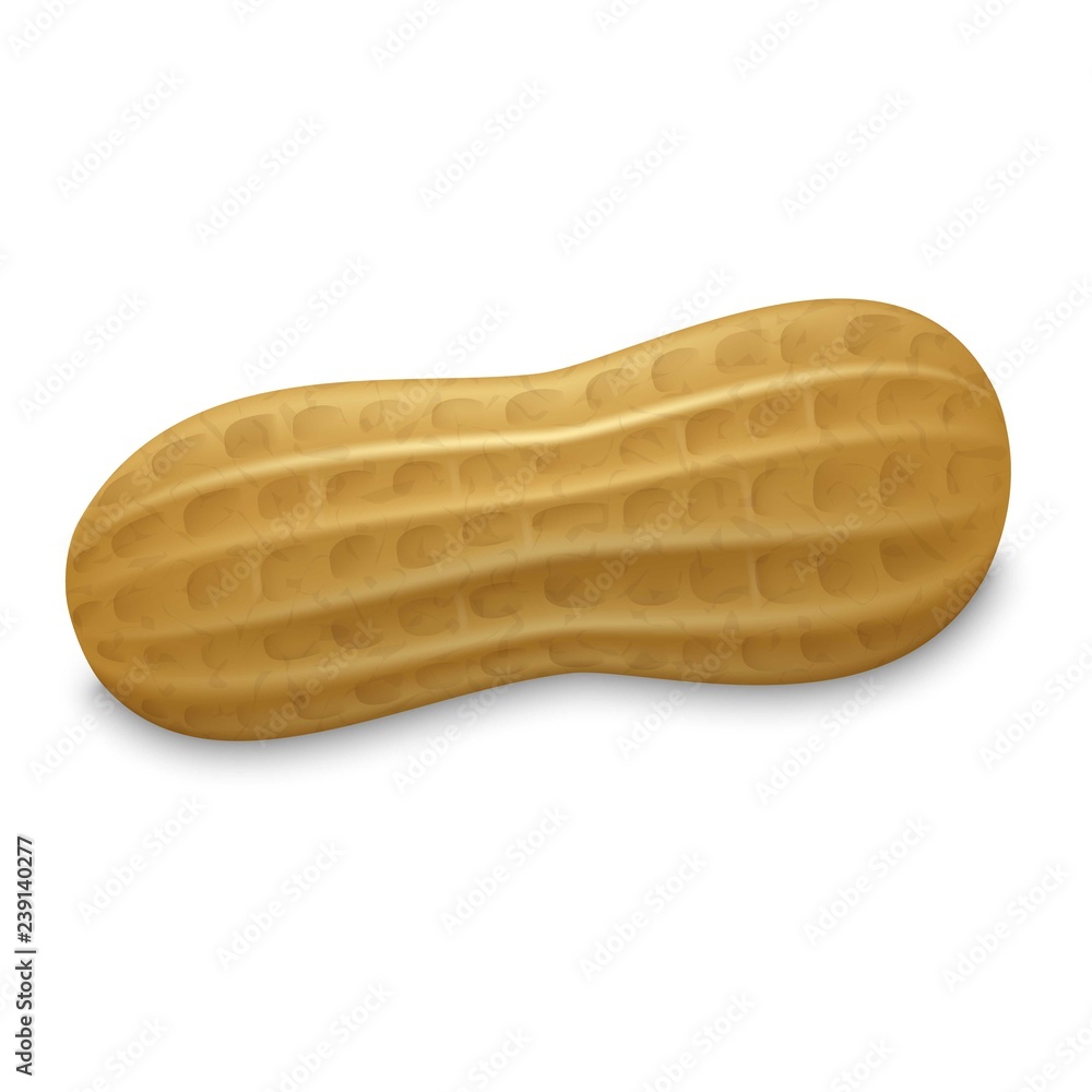 Poster peanut whole shell icon. realistic illustration of peanut whole shell vector icon for web design