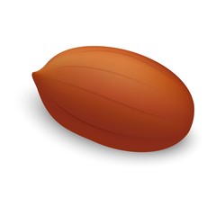 Fresh peanut icon. Realistic illustration of fresh peanut vector icon for web design
