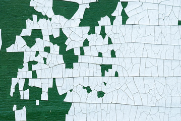 Old parallel cracked white fracture paint on green wood uncommon texture.