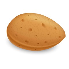 Almond kernel shell icon. Realistic illustration of almond kernel shell vector icon for web design