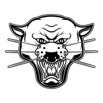 Illustration of pantera head on white background. Design element for logo, label, emblem, sign, poster, t shirt.